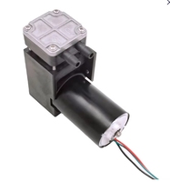 Pompa Booster Otomotif Mini Bertekanan Tinggi Listrik 12V/24V yang Dapat Disesuaikan OEM, Piston Cair 1