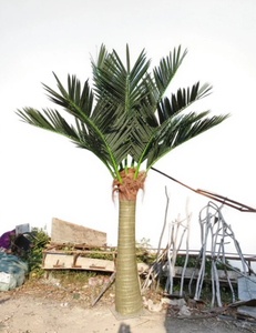 Fabriek Custom Indoor Outdoor Decoratie Kunstmatige Grote Groenblijvende Tropische Palmboom Handgemaakte Koning Kokospalm Faux Boom - Product Image 3