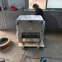 Commerciële multifunctionele groentewas- en schilmachine voor knoflook, wortelen, aardappelen en fruit, hoge capaciteit 750 kg/u