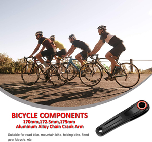 Bộ trục khuỷu xe đạp leo núi, đĩa líp hẹp 30T, offset 6mm, dành cho tay quay xe đạp - Product Image 6