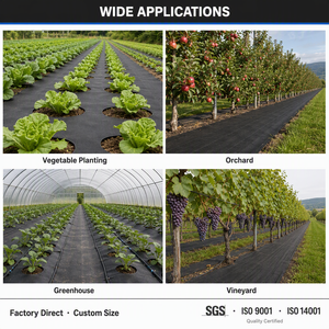 Toile de <span class=keywords><strong>paillage</strong></span> <span class=keywords><strong>biodégradable</strong></span> en PP tissé, résistante aux UV, perméable, pour l'agriculture et le jardin, découpe sur mesure - Product Image 2