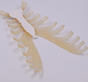 Modelo de <span class=keywords><strong>Esqueleto</strong></span> Humano de PVC para Enseñanza Médica, Tamaño Real, con Costillas Dispersas y Cartílago Costal - Product Image 3