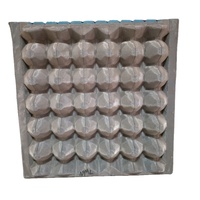 30 moule de caisse d'oeufs pour la machine de fabrication de plateau d'oeufs, moules de plateau d'oeufs en plastique, moules de plateau d'oeufs en aluminium