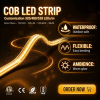 Bande LED COB flexible, étanche pour extérieur, IP67/IP20, certifiée CE/RoHS/ETL, 24V/12V, 3000K/6000K/10000K, 8mm/10mm