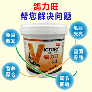 Hot Sale Parrot Birds <strong>Pigeon</strong> Health Performance <strong>Supplement</strong> Vitamin Young <strong>Pigeon</strong> 1200 Pills for Growth Booster - Product Image 4