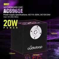 Subwoofer audio pour voiture 12V DC actif, haute puissance, basses profondes, système audio BT 5.4 pour cinéma maison, ordinateur