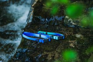 調節可能なチャーム付きPVC製犬用首輪、毎日の散歩に最適な厚手の犬用首輪、40～60cmの高級PVC製犬用首輪 - Product Image 5