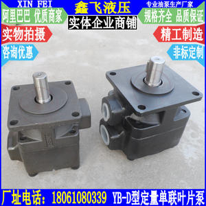 Pompe à palettes simple YB-D63/YB-D80/YB-D100, pompe hydraulique à déplacement fixe avec pression de 10 MAP, pression moyenne - Product Image 1