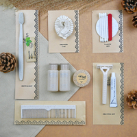 Kit d'articles de toilette jetables pour hôtel en paille de blé, écologique et biodégradable, dans un sachet en papier kraft avec brosse à dents et peigne