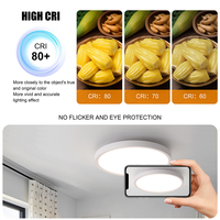 12.2 pouces cuisine Led maison lumières éclairage intérieur moderne décoration de la maison lampe plafonniers intérieurs lampes Led 2025 Offre Spéciale