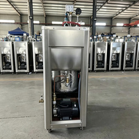Mini générateur de vapeur électrique portable 6KW 9KW 12KW 18KW 220V/380V pour hôtel et spa, machine à vapeur compacte, petite taille, fourniture d'usine
