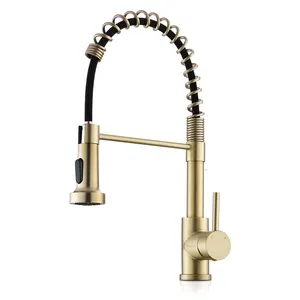 Modern Spring Kitchen Faucet With Pull Out Sprayer Hands-Free Traditional Kitchen Faucet