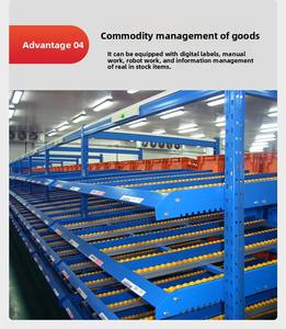 स्टील प्रवाह चयनात्मक पैलेट रैक औद्योगिक जंग संरक्षित रोलर अलमारियों को पहले इन-फर्स्ट-आउट फुली प्रणाली - Product Image 2