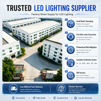 Vente Flash : Rouleau de feuille LED flexible RGBW de 10m pour plafond, caisson lumineux, bureau et centre commercial