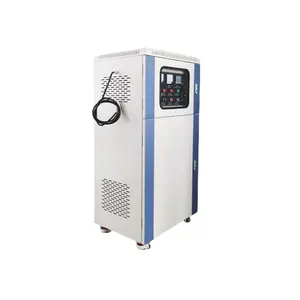 Generator ozon penjualan panas 100g/jam untuk sterilisasi makanan dan pelestarian