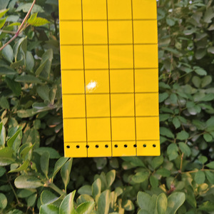 10 - Product Image 3