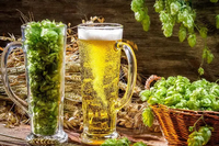 Poudre d'extrait de levure de bière de qualité alimentaire levure de bière hautement active