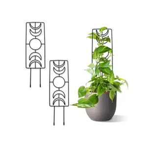 Wholesale Multi-function Tall Rustproof Planter Indoor Outdoor Garden Tree Plant Flower Support Trellis