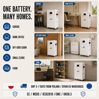 Produit Tendance 2027, Stock UE, Pack de batteries LiFePO4 16 kWh 48V 51.2V, Stockage d'énergie 17.5 kW, Batterie au lithium hors réseau 15 kW pour applications industrielle et agricole