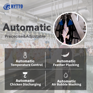 हलाल 300-1000 मुर्गियां स्वचालित बूचड़खाने के उपकरण वध प्रसंस्करण लाइन - Product Image 5