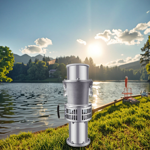 Bomba Sumergible de Hierro Fundido de Alta Presión de 4 Kilovatios y 6 Pulgadas para Riego Agrícola, Cambio de <span class=keywords><strong>Agua</strong></span> en Estanques de Peces, Personalizable OEM - Product Image 1