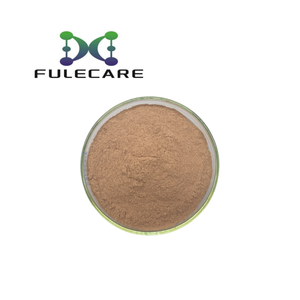 Số lượng lớn <span class=keywords><strong>Echinacea</strong></span> <span class=keywords><strong>Purpurea</strong></span> bột 4% cấp thực phẩm <span class=keywords><strong>Echinacea</strong></span> <span class=keywords><strong>Purpurea</strong></span> chiết xuất - Product Image 1