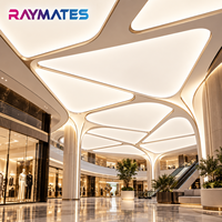 Feuille lumineuse LED CCT ultra-fine et flexible RAYMATES 24V, 696 LED, température de couleur double réglable, rétroéclairage LED pour intérieur