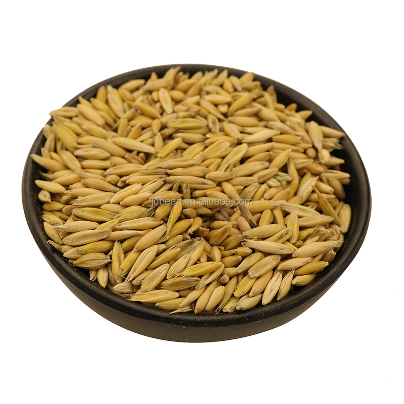 NON GMO High Protein Oats Seeds