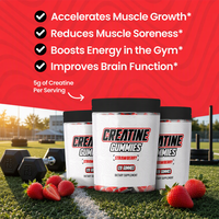Gummies de Créatine Monohydrate à la Fraise 5g par Portion – Complément Alimentaire Énergétique pour le Fitness – Vente en Gros