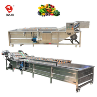 Machine à laver les légumes et les fruits multifonctionnelle automatique DZJX avec moteur pour le nettoyage des maïs, des noix et des fruits secs