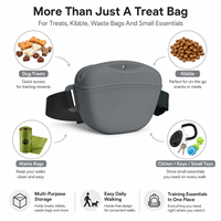 Sac de dressage pour chien, étanche, écologique, en silicone, avec fermeture magnétique, ceinture ajustable mains libres, pochette à friandises pour l'agilité