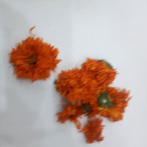 Fleur de souci écossais naturelle de couleur <span class=keywords><strong>orange</strong></span> séchée entière fleurs de souci communes pour le thé - Product Image 4
