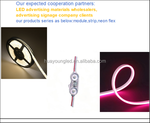 Bande LED néon souple, étanche, 12V, personnalisable, de petite taille, adaptée à une utilisation dans les coffres de voitures et dans d'autres zones. - Product Image 4