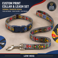 Ensemble collier et laisse pour chien, personnalisable (couleur, logo, emballage, sangle imprimée), direct usine, pour promenades en ville et séances d'entraînement