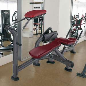 Comercial Fitness Power Training <span class=keywords><strong>Curves</strong></span> Banco de ejercicio Abdominal Muscle Lying Abdominal Machine - Product Image 1