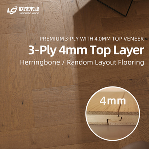 พื้นไม้มะฮอกกานีแท้ลายก้างปลา ดีไซน์ทันสมัย หนา 4 มม. มาตรฐาน ENF เป็นมิตรกับสิ่งแวดล้อม ระบบล็อคสำหรับทำความร้อนใต้พื้น ไม้ธรรมชาติ - Product Image 3