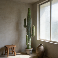 Plantes artificielles du désert, cactus en plastique, toucher naturel, résistant à l'eau, écologique, pour la décoration intérieure, mariage, nouvel an