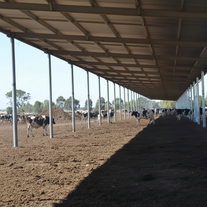 Bâtiment moderne de travail en acier de hangar de volaille de cadre de lumière de conception de la Chine pour l'atelier - Product Image 1