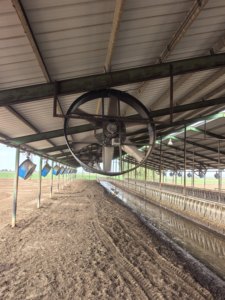 พัดลมแผงสำหรับปศุสัตว์ขนาด 55 นิ้ว แบบ Heavy Duty พร้อมมอเตอร์แม่เหล็กถาวรแบบซิงโครนัส พัดลมระบายอากาศสำหรับฟาร์มปศุสัตว์ - Product Image 6