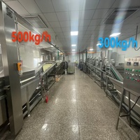 Máquina Freidora de Papas Fritas Onduladas de Alta Gama Estándar Europeo, Línea de Producción para Capacidad de 50 kg/100 kg/200 kg/300 kg/500 kg/800 kg