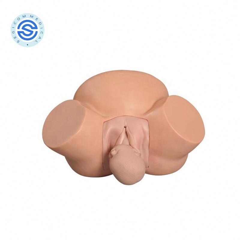 Медицинская модель для доставки, обучающий симулятор для рождения ребенка и беременности, Акушерская тренировка, анатомический манекен