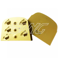 Vente chaude utilisée Lavina Machine diamant meulage chaussures PCD Segment tampons de polissage