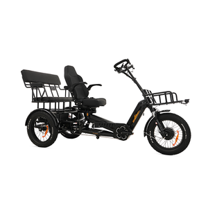 Triciclo Eléctrico de 3 Ruedas, 2000w, Motor Dual, 7 Velocidades, con Batería de Iones de Litio, Disponible en la UE - Product Image 6
