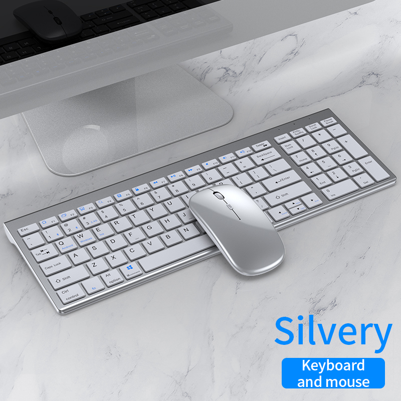 Silvery Keyboard and Mouse