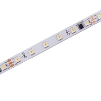 Bande LED adressable RGB CCT 5 en 1, étanche IP65 IP67, 24V, 3000K 6000K, programmable, blanc réglable RGBWC, FW1906