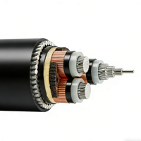 Cable de Alimentación Blindado YJLV32 con Aislamiento XLPE y Armadura SWA, 0.6/1kV, Anti-interferencia, para Transmisión Subterránea en Construcción