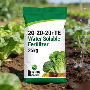 Fertilizzante NPK 20-20-20 Idrosolubile con Oligoelementi per l'Agricoltura - Product Image 6