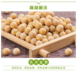 Bulk Yellow High <strong>Protein</strong> Dried Soybeans Human <strong>Food</strong> <strong>Grade</strong> Competitive Price - Product Image 4