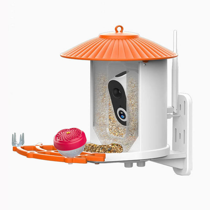 Orange (Bring a honey pot and fruit fork)