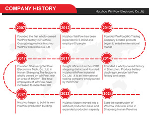 <span class=keywords><strong>CR2477</strong></span> 3V pile bouton au lithium 1000mAh Li-MnO2 batterie primaire pour cuiseur à riz électrique - Product Image 5